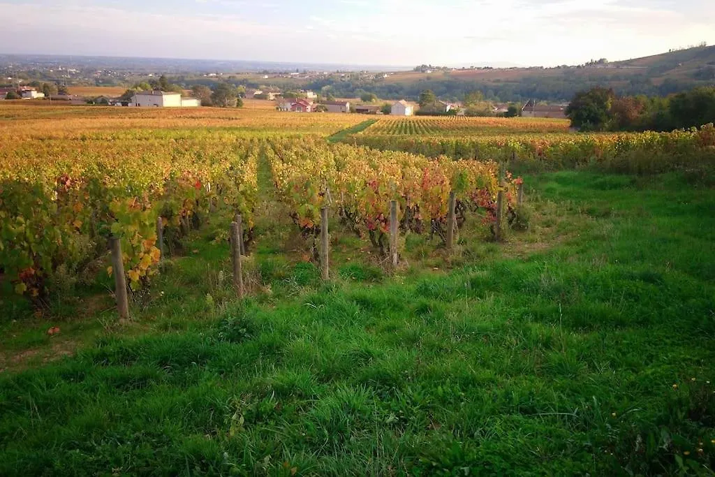 Appartement La Bulle Beaujolaise à Juliénas France